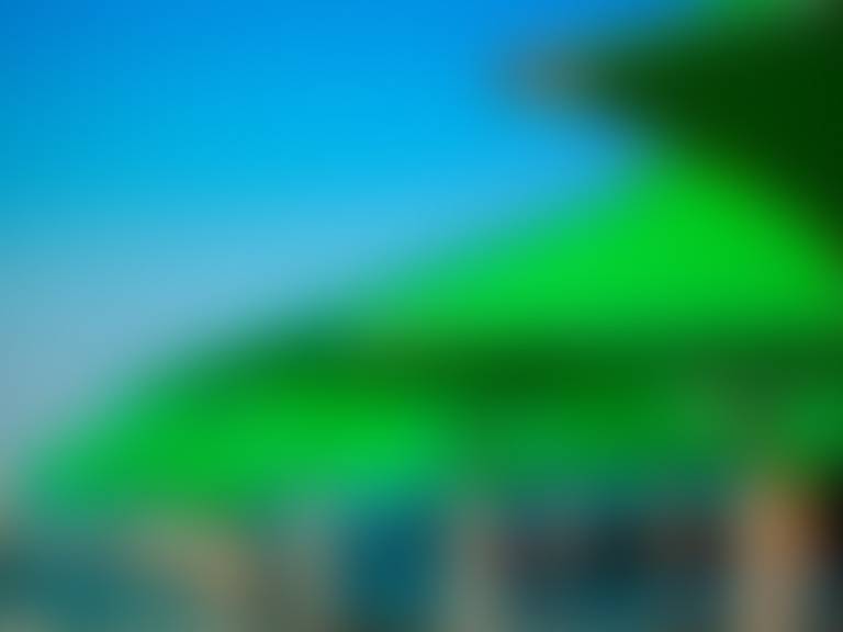 CONTENIDO OMITIR FOTOS